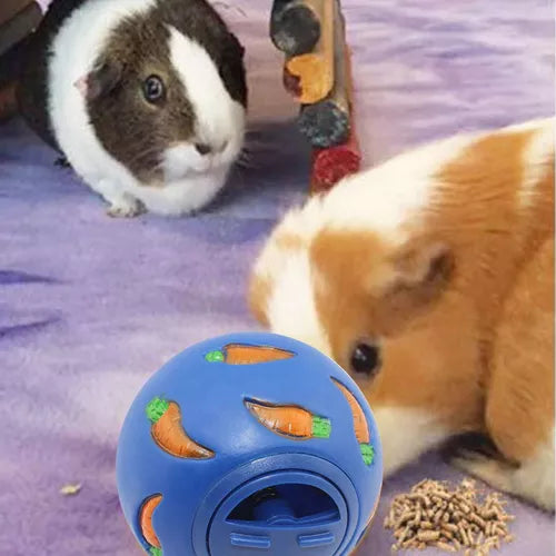 Rabbit/Small Animal Treat Ball