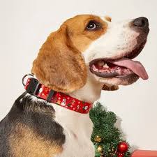 Festive Dog Collar with Santa