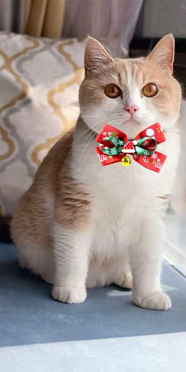 xChristmas Cat Collar