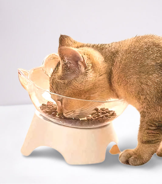 Clear Elevated Cat Bowl