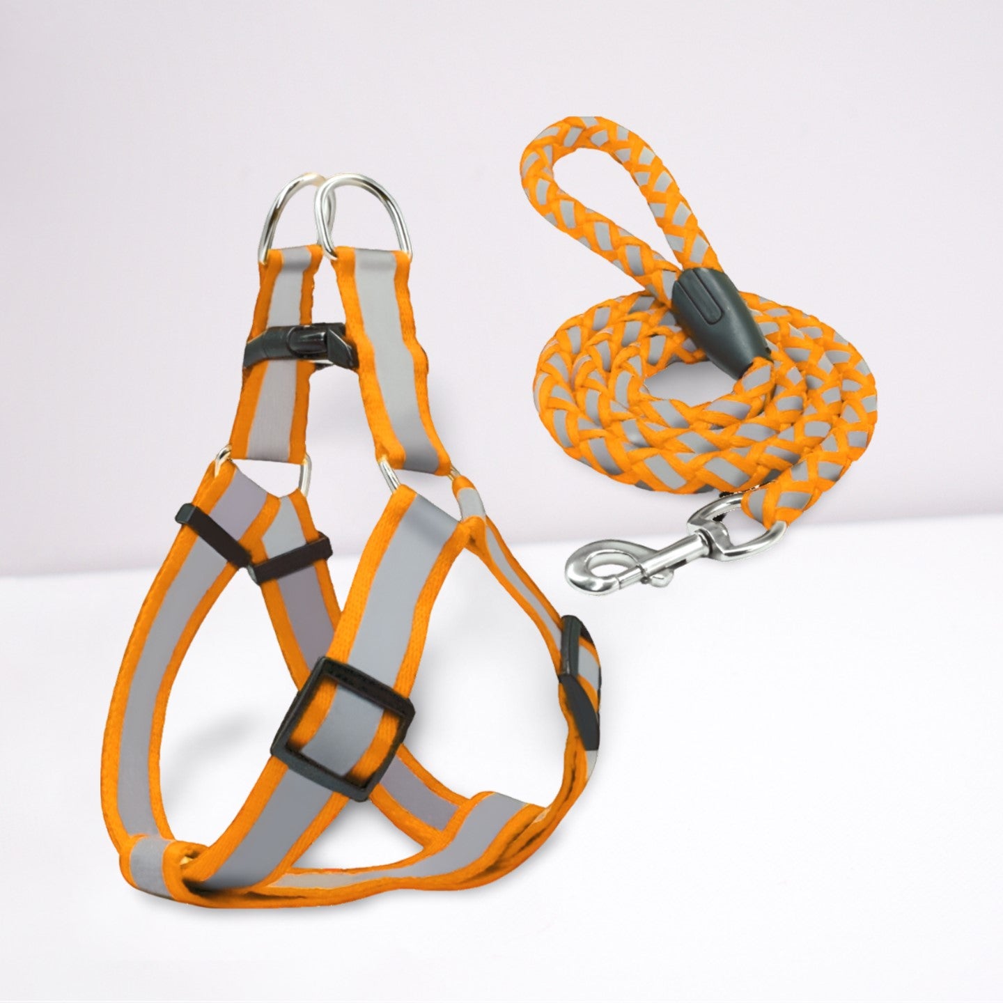 Reflective Harness & Lead