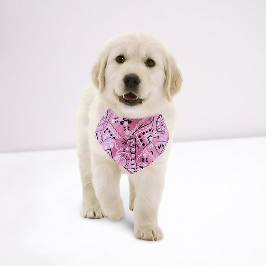 collar bandana