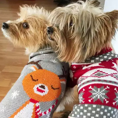 Reindeer knitted jumper