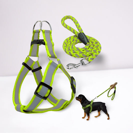 Reflective Harness & Lead