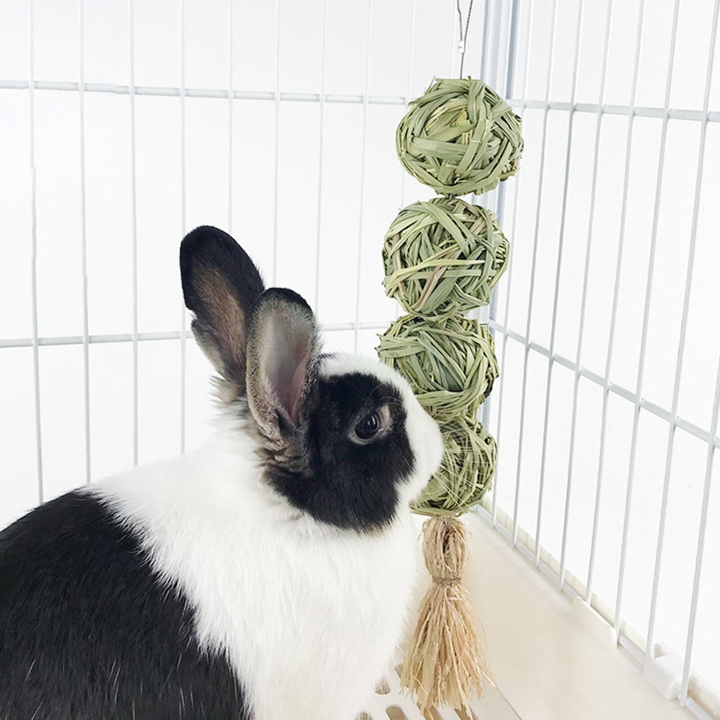 Grass Ball Rabbit/Guinea Pig Toys