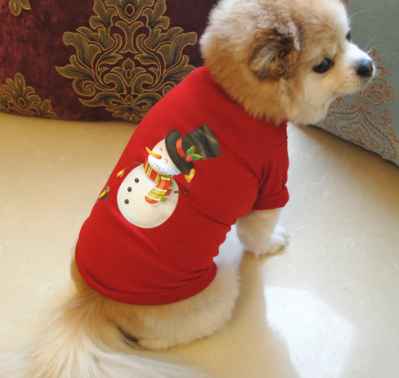 Super Cute Christmas Sweater with Snowman